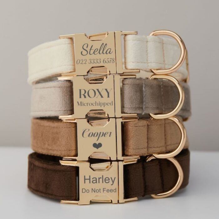 Velvet Personalised Dog Collar Set